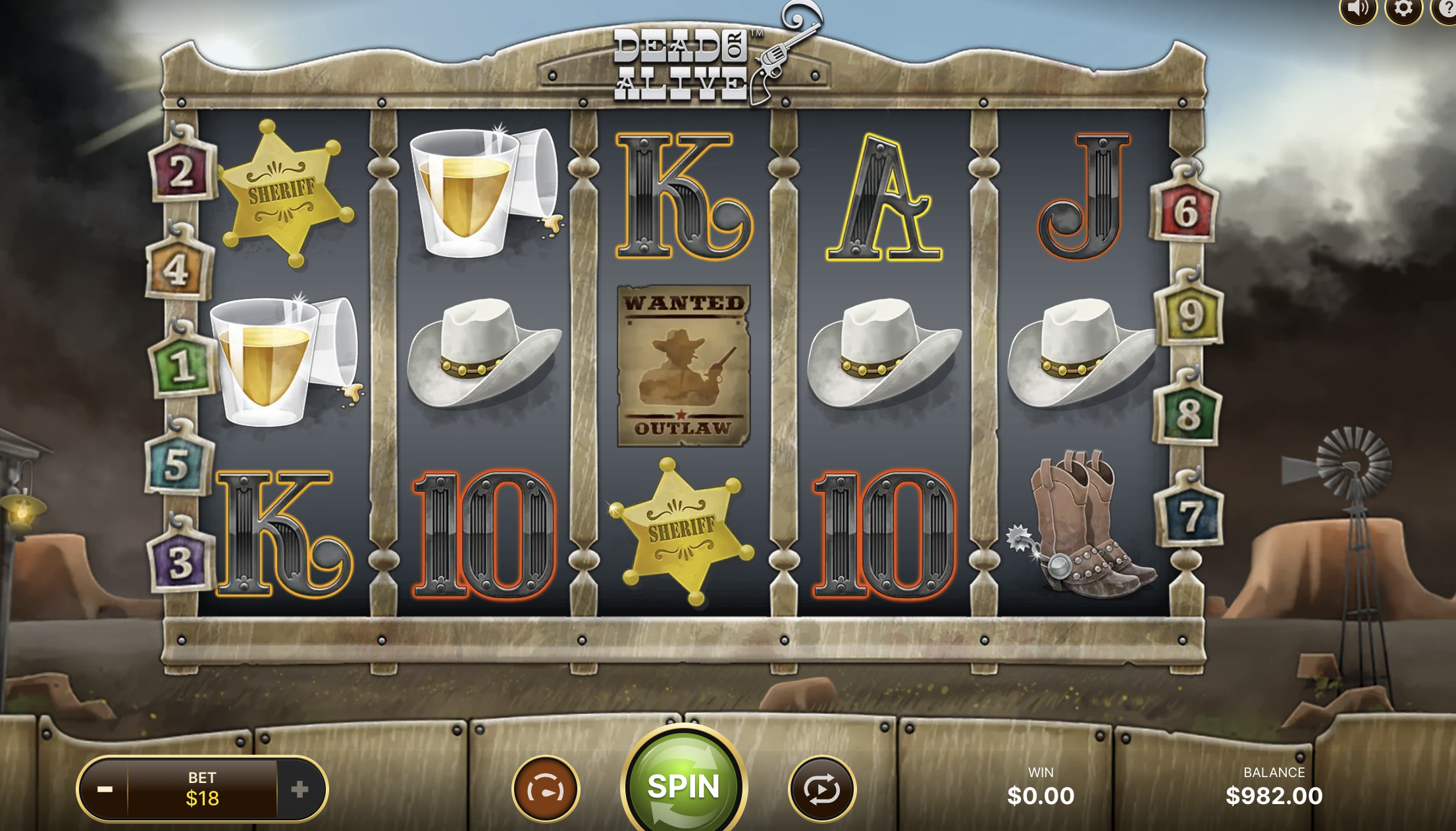 Bonus Features in Dead or Alive Slot